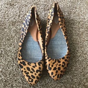 Cheetah Flats